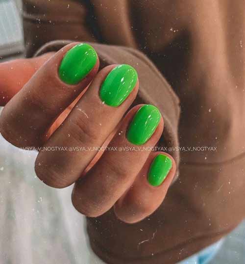 Салатовый новый цвет на ногтях