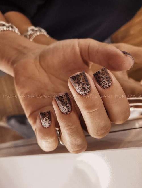 Леопард на коротких ногтях