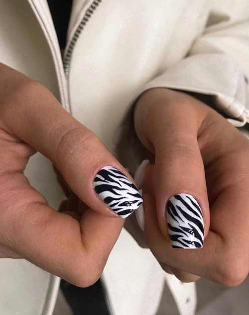 Черно-белые ногти с зеброй